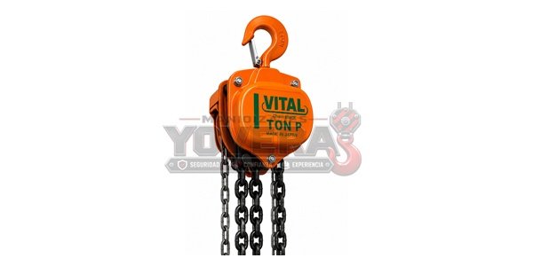 Tecle Manual VITAL